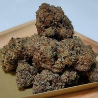 Candy Cherry Apple Strain