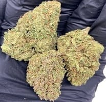 Carbon Cake Strain