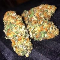 Cherry Hard Candy Strain