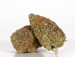 strawberry milkshake strain