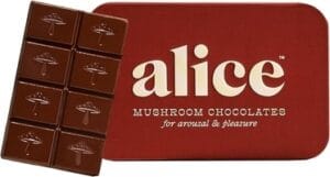 alice mushroom chocolates