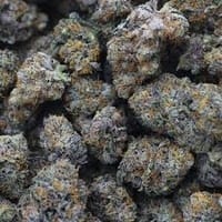 beach wedding punch strain