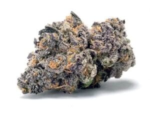 jealousy runtz strain