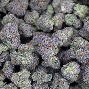 purple lemon cherry gelato