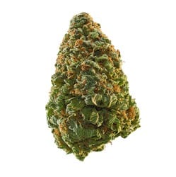 skittlez mintz strain