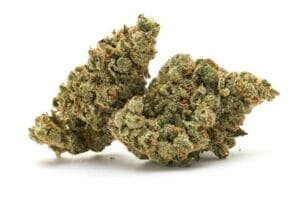 sour gorilla strain