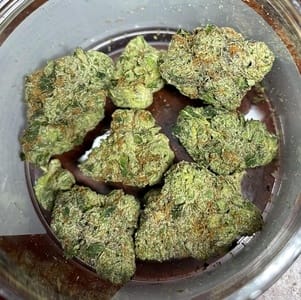 super lemon cherry gelato
