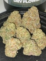 wedding cake x gelato 41