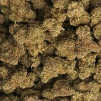 zope weed strain