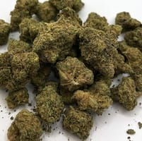Banana Cake Strain