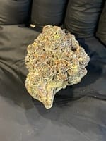 DNA Strain