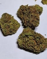 Lemon Sour Diesel Strain