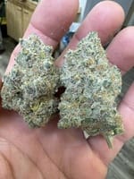 sour desial hhcsuper sour diesel sour diesel near me sour diesel strain near me Sour Blue Diesel Strain ​