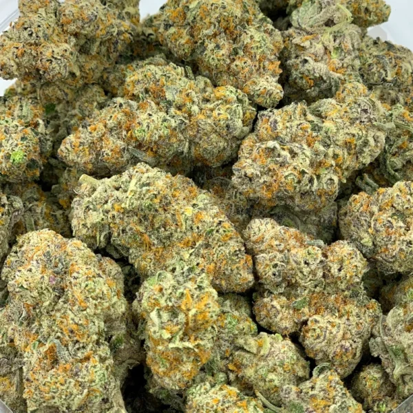 gelato 41 strain gelato 41 g41 strain tuscan gelato strain gelato 41 weed strain