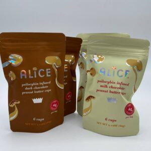 alice mushroom chocolates alice mushroom chocolate chocolate mushroom buy mushroom chocolate alice mushrooms​