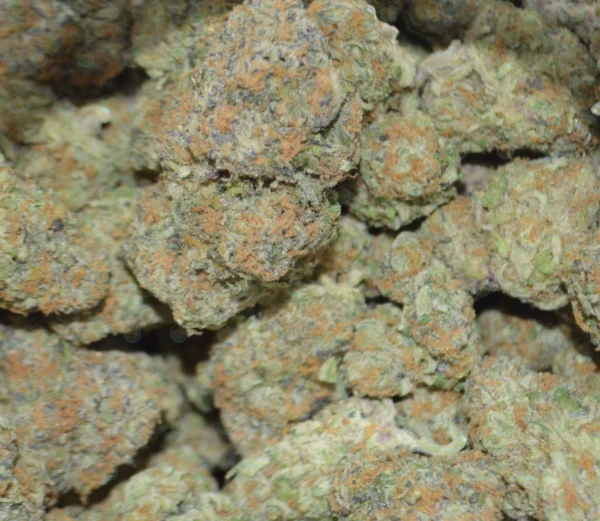 candyland strain candyland weed strain candyland peyote strain candyland runtz strain candy land strain