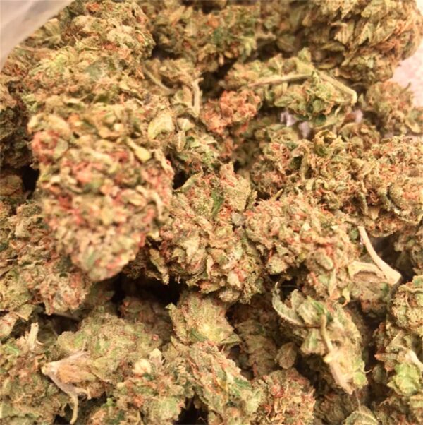 face off og strain face off strain ​runtz your face off strain face off og bud for sale