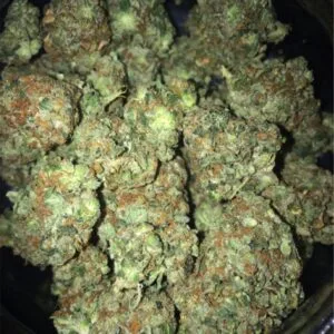 sour glue strain sour gorilla strain gorilla diesel strain buying marijuana online ways to get high 