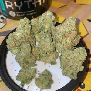 strain jack herer weed seeds jack herer jack shiva strain jack herer weed strain jack herer near me ​