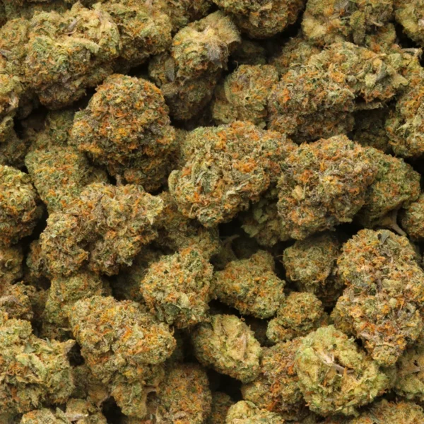 rainbow sherbet strain ​ganja for sale buy cannabis on-line usa zips cannabis downtown tacoma cannabis online