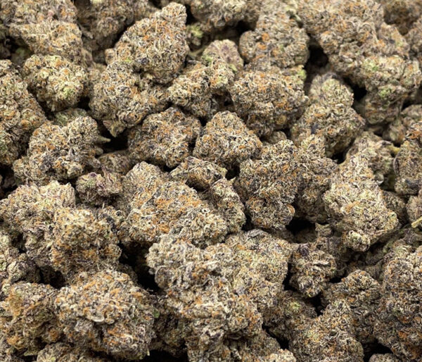 oreo cookies strain oreo cookie strain lemon oreoz strain purple oreoz strain sour oreoz strain ​