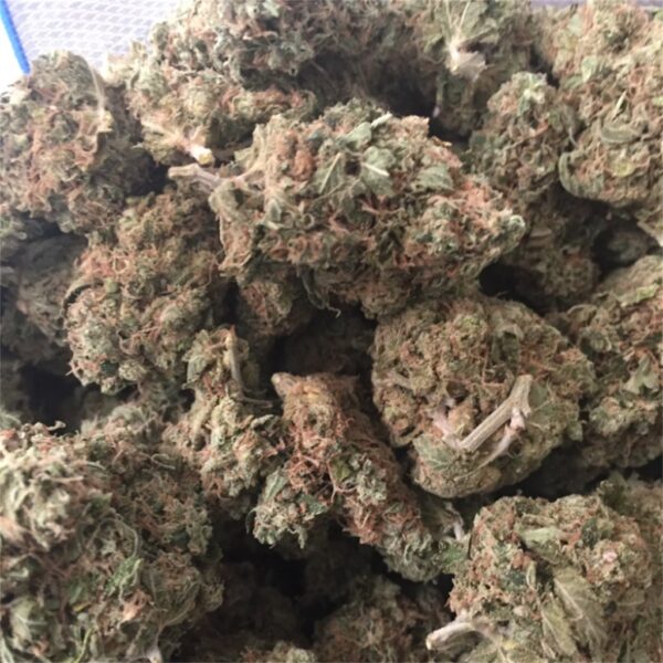 skywalker strain buy ganja online ganja online sky og strain strain skywalker og ​