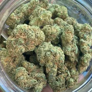 super silver haze strain silver haze strain super silver strain super silver glue strain super silver pupil strain