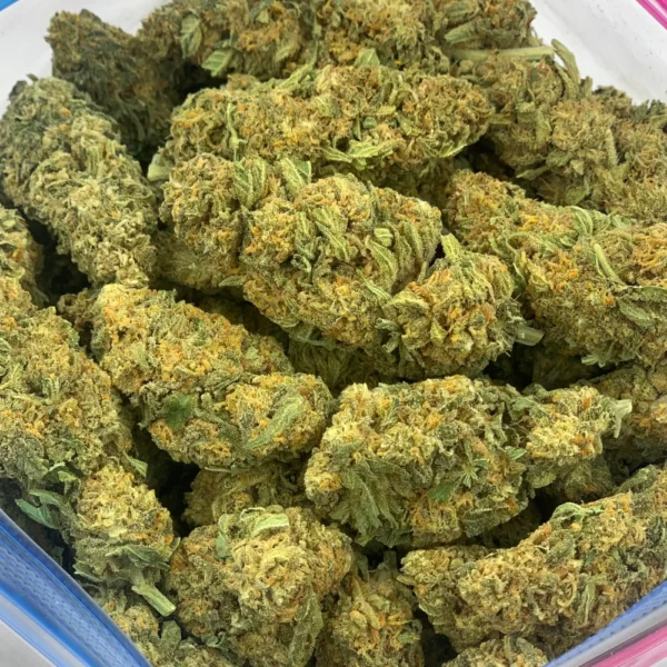 durban strain best durban poison strain durban poison strain near me durban poison autoflower durban wedding strain