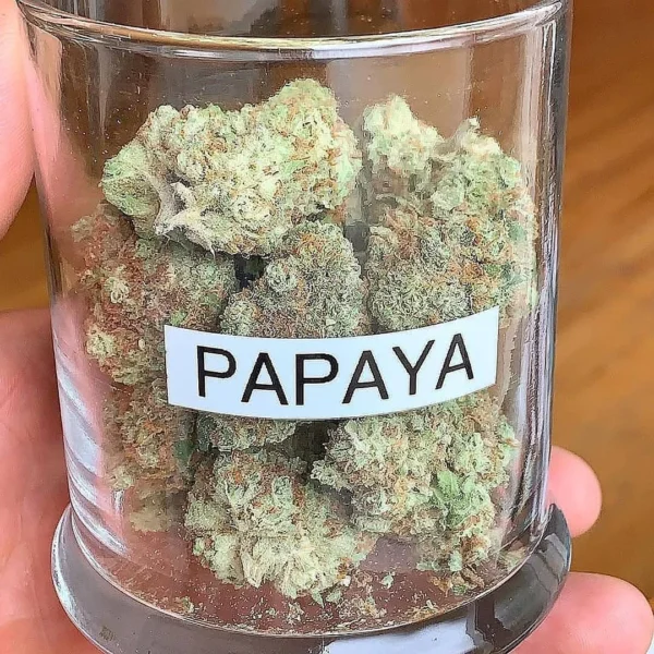 papaya strain dulce de mpapay strin ​papaya runtz strain ​papaya weed strain papaya og strain