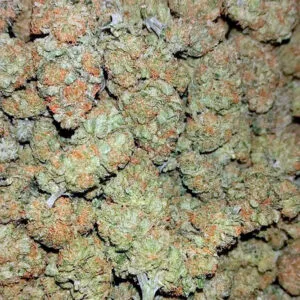 apple betty strain buy cannabis on-line kansas usa delivery cheap dispensary near me ganja online buy buy cannabis on-line kansas usa delivery